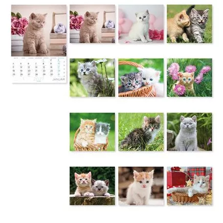 LIZZYCALENDAR Falinaptár, A4, LIZZYCALENDAR "Cicák"
