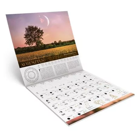 LIZZYCALENDAR Falinaptár, 29x29 cm, LIZZYCALENDAR "Hold", asztrológiai