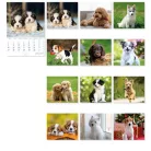 LIZZYCALENDAR Falinaptár, A4, LIZZYCALENDAR "Kutyák"