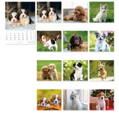   LIZZYCALENDAR Falinaptár, A4, LIZZYCALENDAR "Kutyák"
