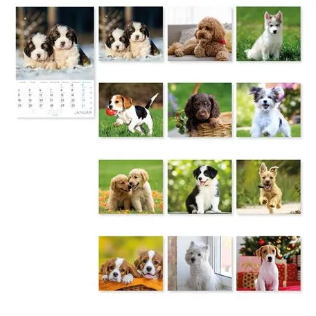 LIZZYCALENDAR Falinaptár, A4, LIZZYCALENDAR "Kutyák"