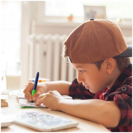 SCHNEIDER Rollertoll, patronos, M-es, SCHNEIDER "Base Ball", kék-zöld