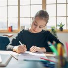 SCHNEIDER Rollertoll, patronos, M-es, SCHNEIDER "Base Ball", szürke-rózsaszín