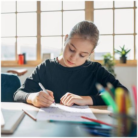 SCHNEIDER Rollertoll, patronos, M-es, SCHNEIDER "Base Ball", szürke-rózsaszín