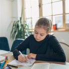 SCHNEIDER Rollertoll, patronos, M-es, SCHNEIDER "Base Ball", szürke-türkiz