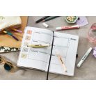 STABILO Szövegkiemelő készlet, 1-4 mm, STABILO "Swing cool NatureCOLORS", 6 különböző szín