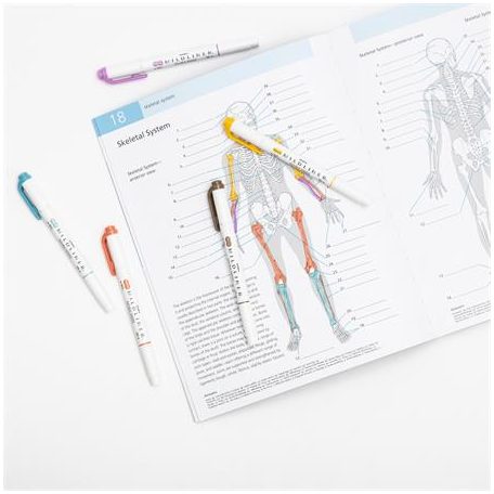 ZEBRA Szövegkiemelő, 1,0/3,5 mm, kétvégű, ZEBRA "Mildliner Warm", füstkék