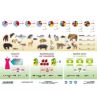 STIEFEL Tanulói munkalap, A4,  STIEFEL "Százalékszámítás duo"