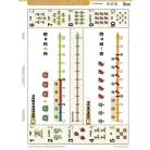 STIEFEL Tanulói munkalap, A4, STIEFEL"Ismerkedés a számegyenessel"