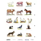 STIEFEL Tanulói munkalap, A4, STIEFEL" A ház körül élő állatok"