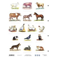   STIEFEL Tanulói munkalap, A4, STIEFEL" A ház körül élő állatok"