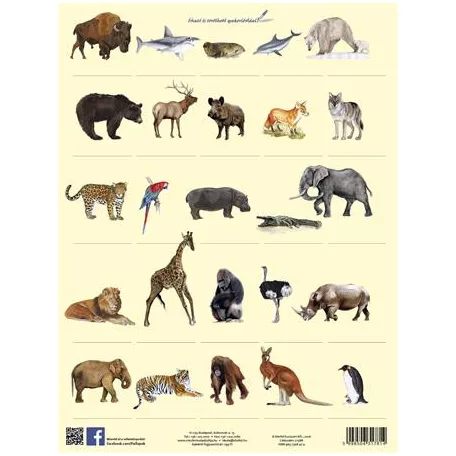 STIEFEL Tanulói munkalap, A4, STIEFEL" Vadon élő állatok"