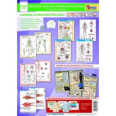   STIEFEL Tanulói munkalap csomag, 5 munkalap, 1 alátét, filc, STIEFEL "Biológia"